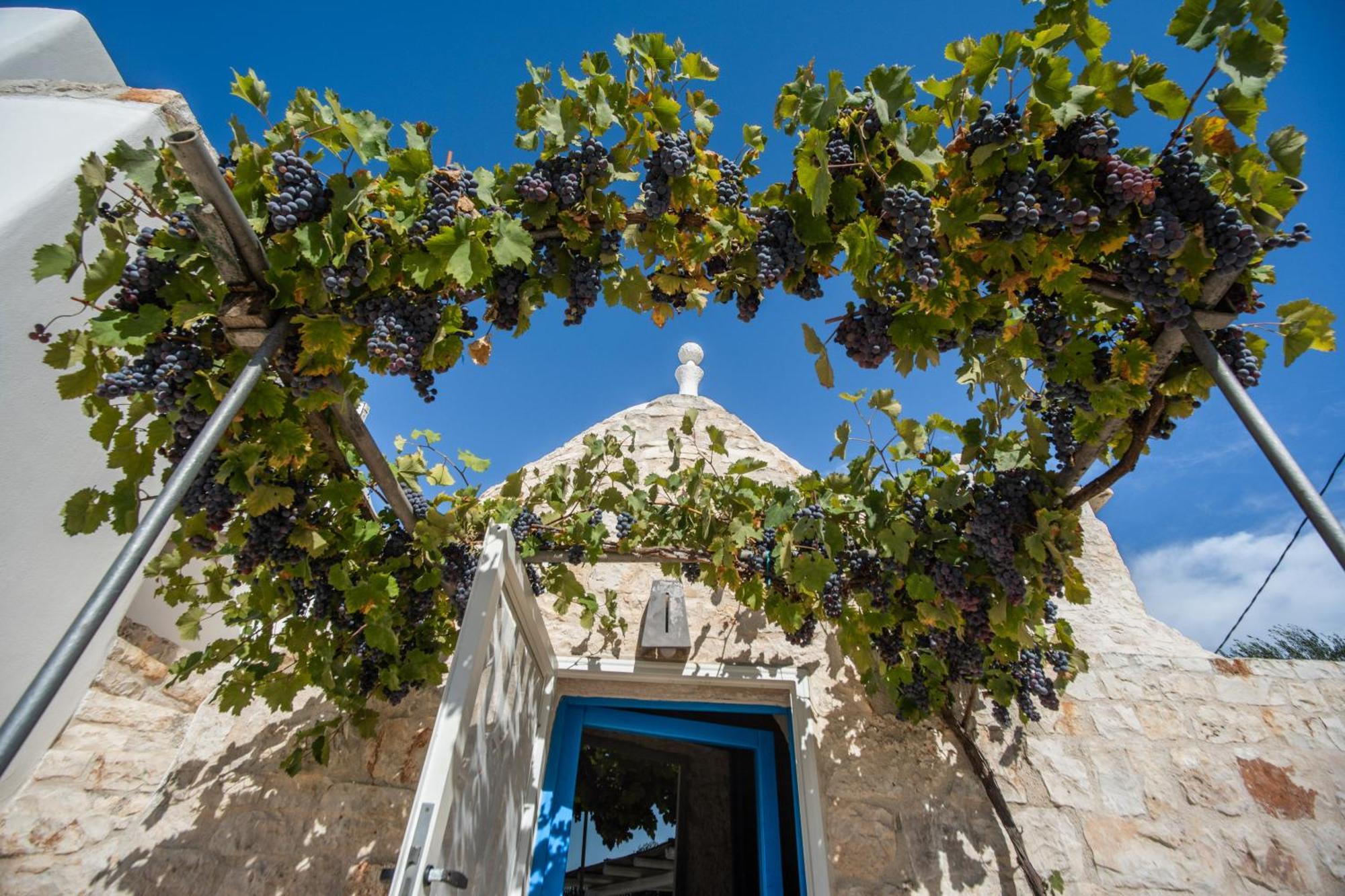 Trullolive Villa Ostuni Exterior photo